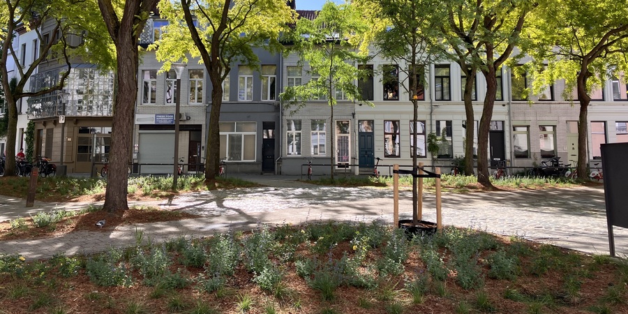 Foto Hortensia Sillisplein, mei 2026